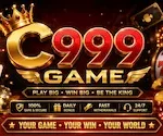 C999 Game