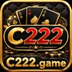 C222 Game